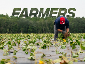 FARMERS